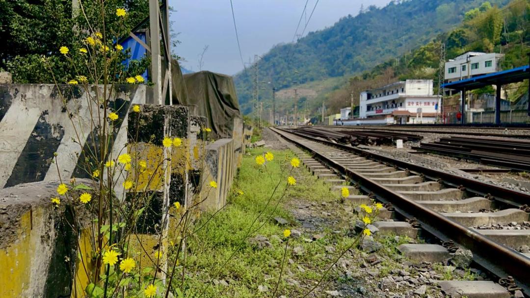 《春天裡的鹽津》 宜賓車務段 徐濤 攝於鹽津站的鐵路沿線在這條佈滿