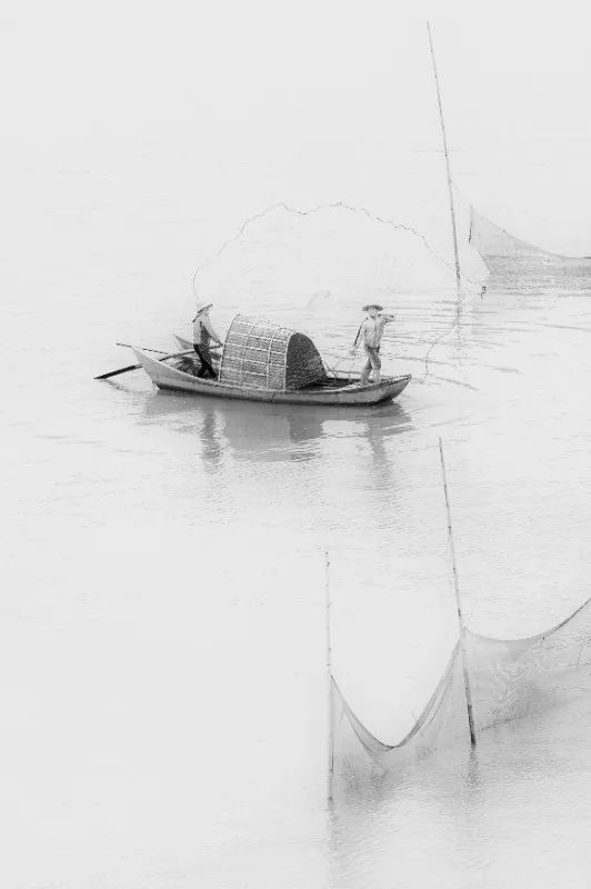 清明寄哀思②思先烈