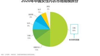 2022年中国女性内衣行业研究报告