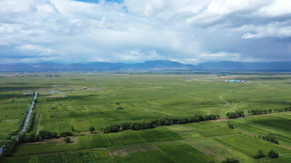呼和浩特市土默特左旗全力推进高标准农田建设