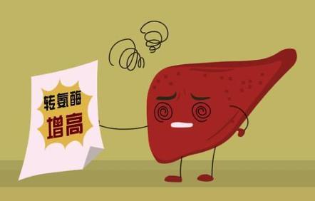 听说他汀很伤肝