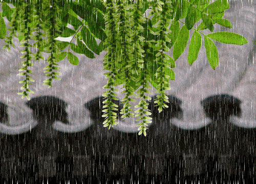 从气候上看为何清明时节雨纷纷
