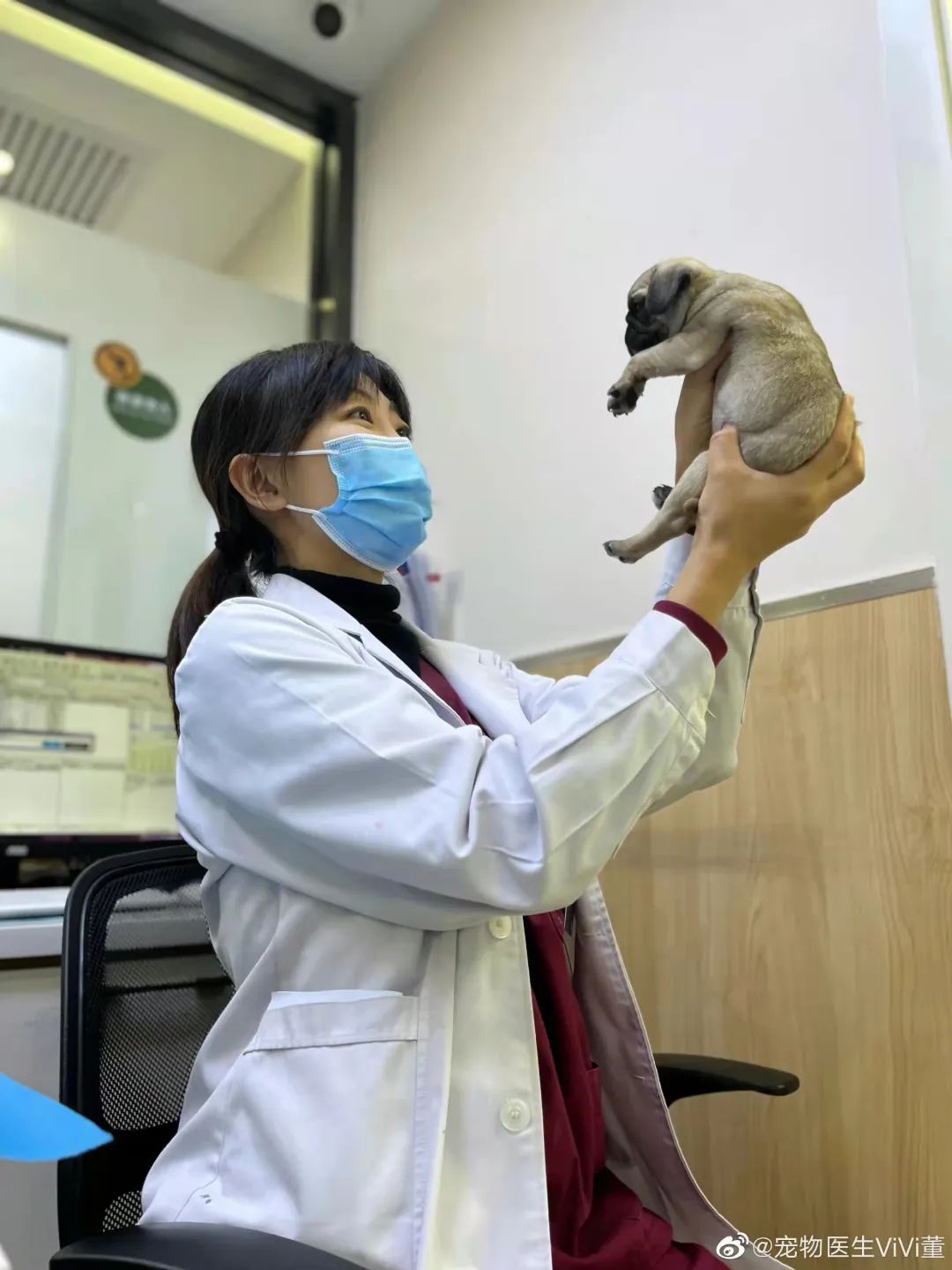 当宠物医生18年我什么人都见过