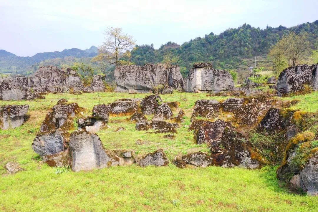 大美中国昭通乡村行④威信后房与石头较量了300年