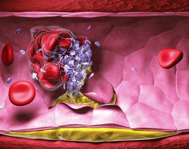 磁热疗法怎么收费【新技术 新能力 新服务】汇聚精品，服务患者——磁热疗法帮助缺血性脑血管病患者加速修复受损细胞_https://www.jmylbn.com_新闻资讯_第2张