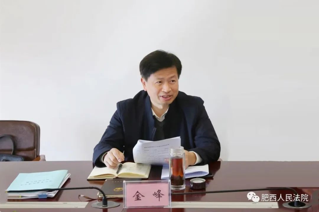 市中院党组成员执行局局长金峰到肥西法院督导执法办案工作