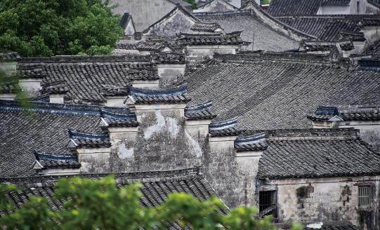 春风十里横筋线！在慈溪，邂逅一路“诗和远方”
