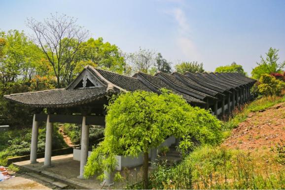 春风十里横筋线！在慈溪，邂逅一路“诗和远方”