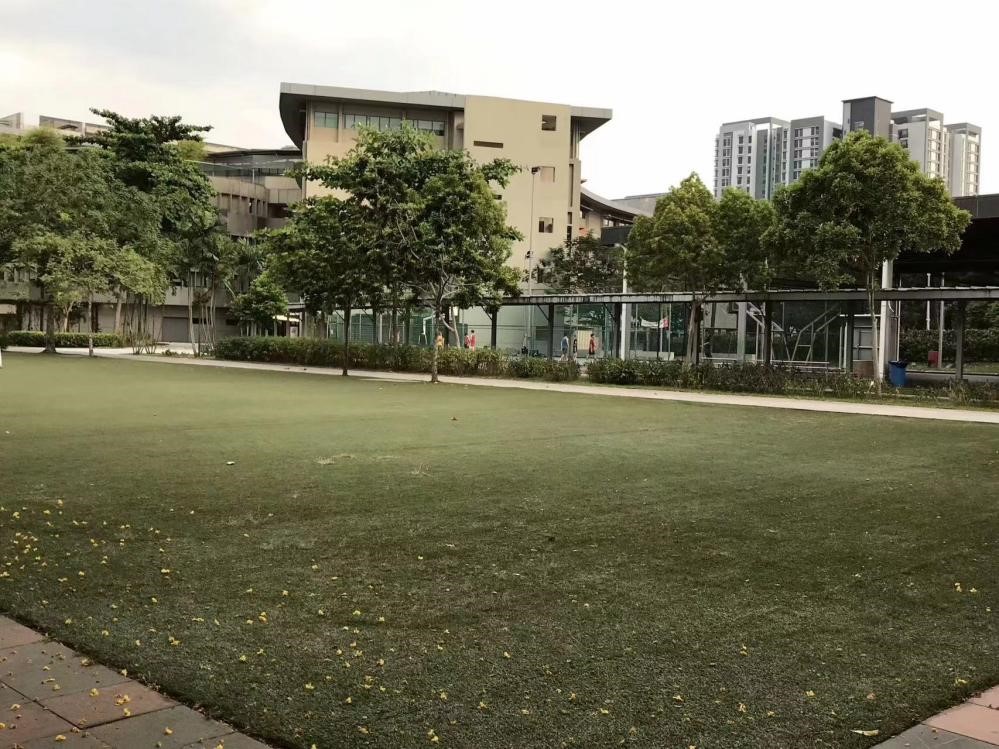 图4  莫纳什大学马来西亚分校的校园③