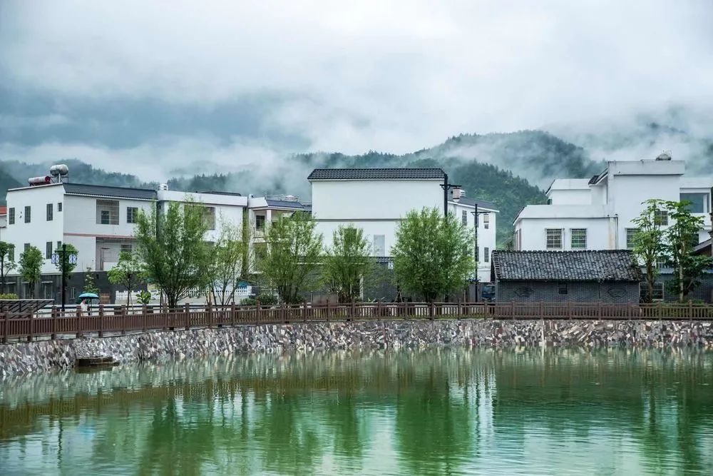 疫去春来美丽乡村看新丰