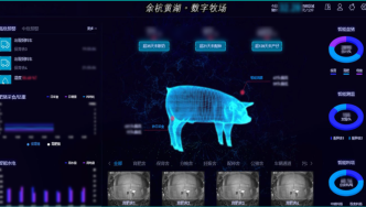 跟上5G速度的豬豬們，也有電子身份證啦