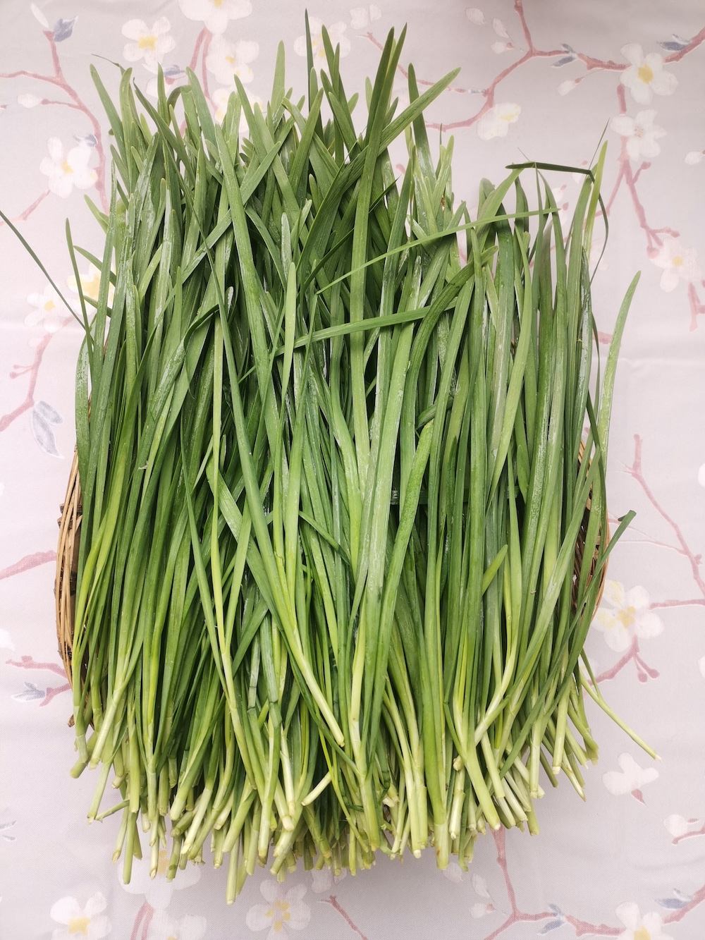 自然散步 | 这些蔬菜会开花?当然!_澎湃号·湃客_澎湃新闻-The Paper