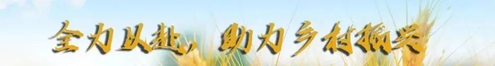 不要放过这个“娜娜”!