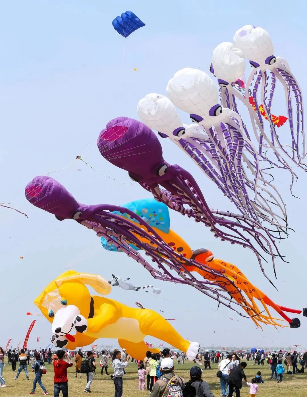 第36届潍坊国际风筝会4月20日开幕-新闻频道-和讯网