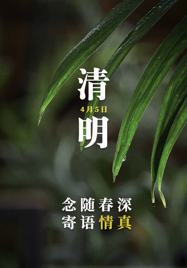 梨花风起正清明春风落日寄哀思