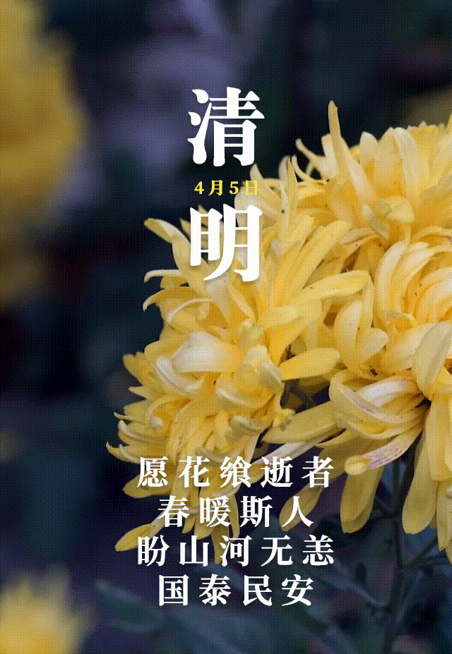 梨花风起正清明春风落日寄哀思
