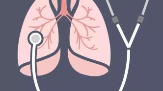 研究发现新型呼吸气道细胞，具有再生功能
