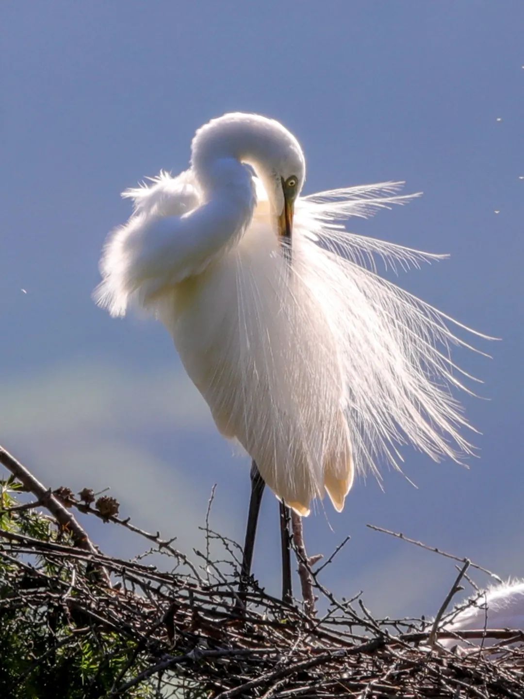 六五环境日生态环境保护主题摄影作品选登3