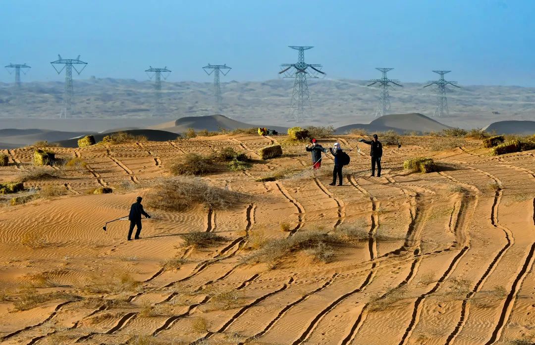 六五环境日|生态环境保护主题摄影作品选登(4)