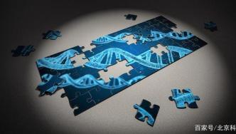 Science封面：20年后，人类基因组计划终于完整了