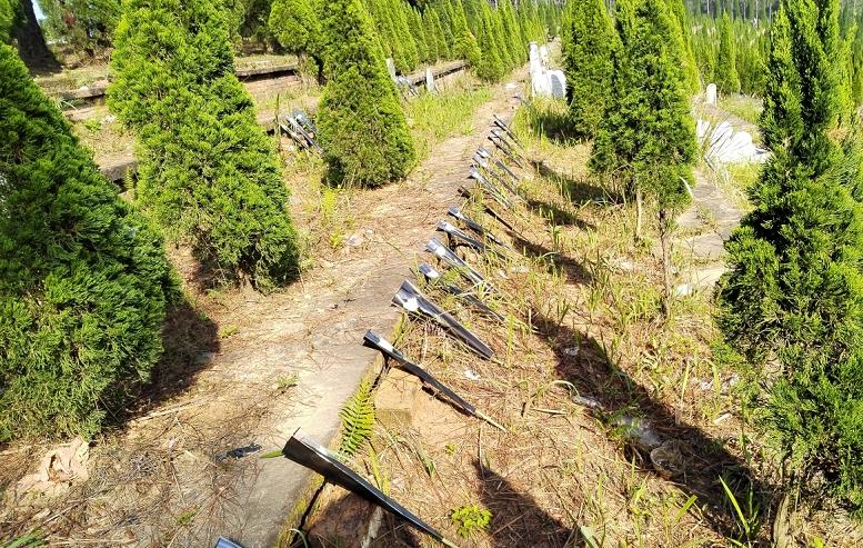 在高明区杨和镇宝鸭山永久墓园鲜花代祭活动中,工作人员代市民向先人