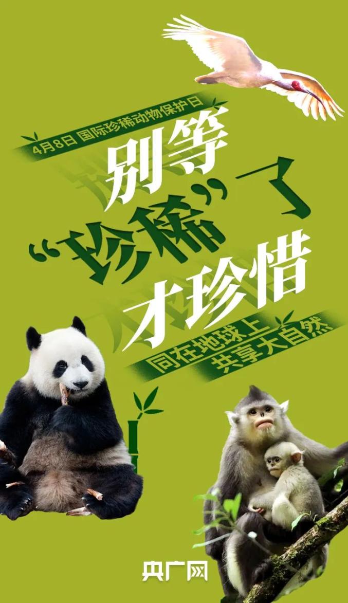 国际珍稀动物保护日丨别等珍稀了才珍惜