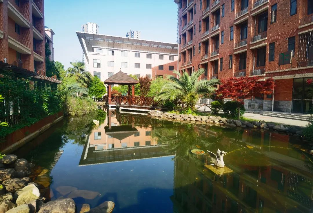 明德天心中学期待学子们的归来他们正以缤纷的色彩在天心的校园苏醒了