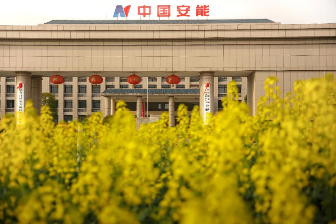 中国安能春景速递你最中意哪一张