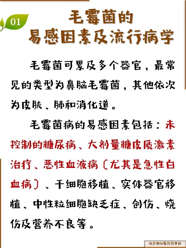 向左滑動翻頁查看以下圖片可點擊放大毛黴菌是廣泛存在