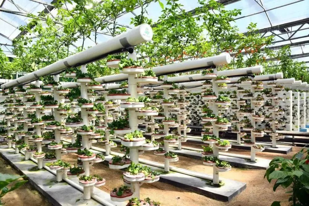 2020年,寿光菜博会展示立体种植技术 图片来源:新华社