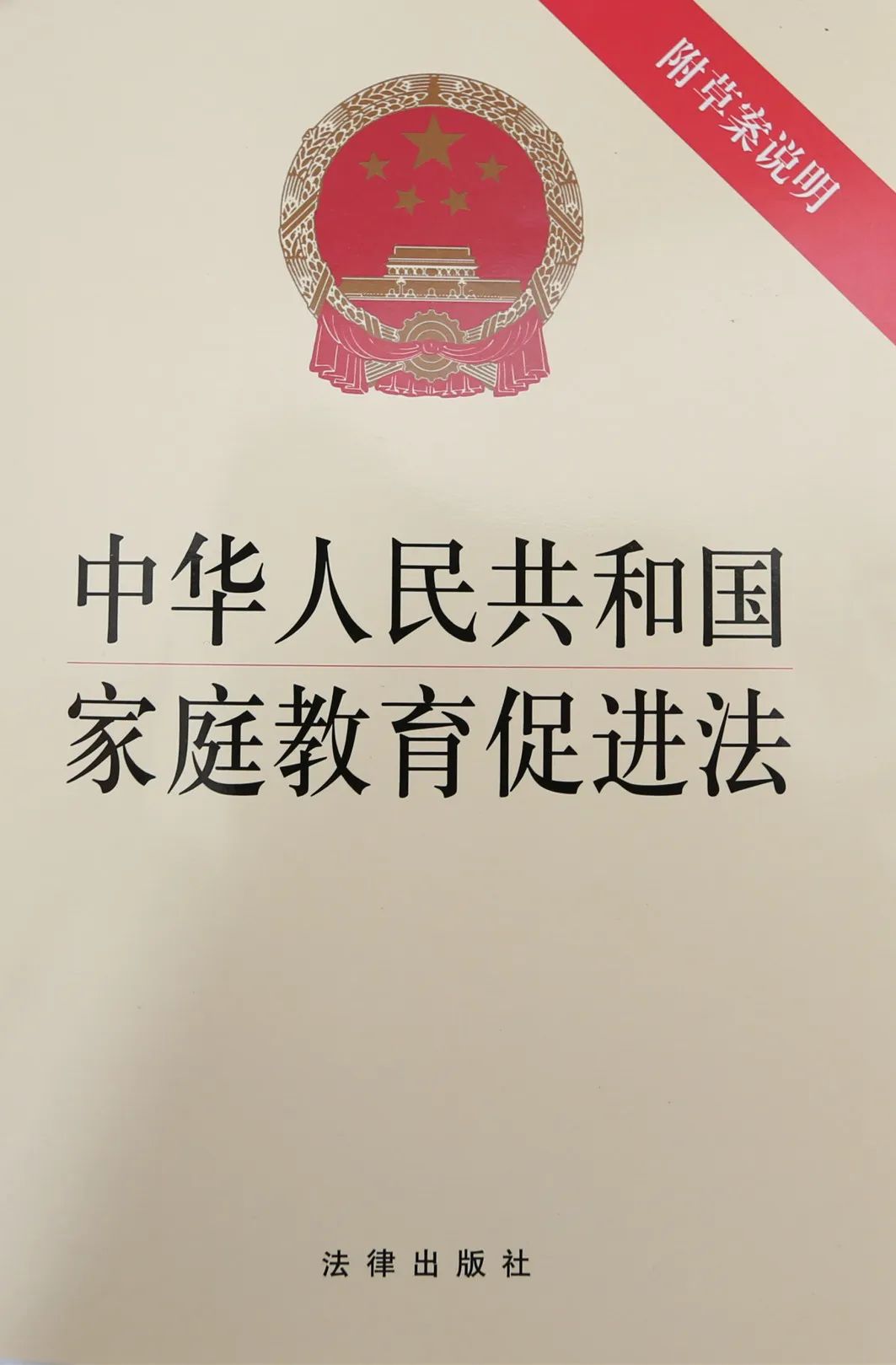 临翔法院发出全市首份涉刑事家庭教育令