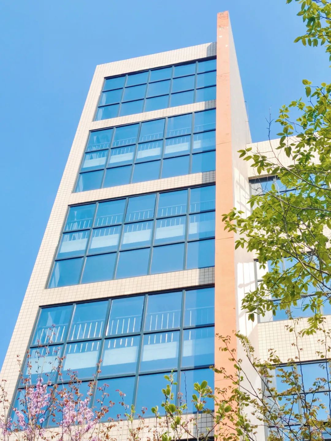 人间最美四月天河职春色已满园