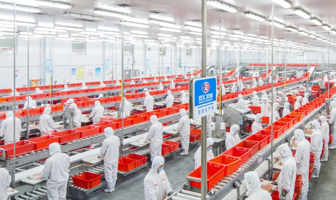 万亿级食品产业链在这里崛起智慧养猪真香