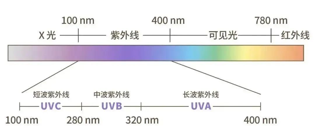 紫外線,是波長在 100 nm ～ 400 nm 之間的不可見光