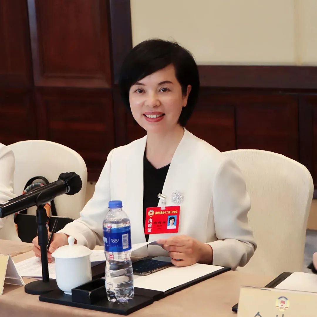 汪驰参加政协民革界别民建界别农工党界别联组讨论