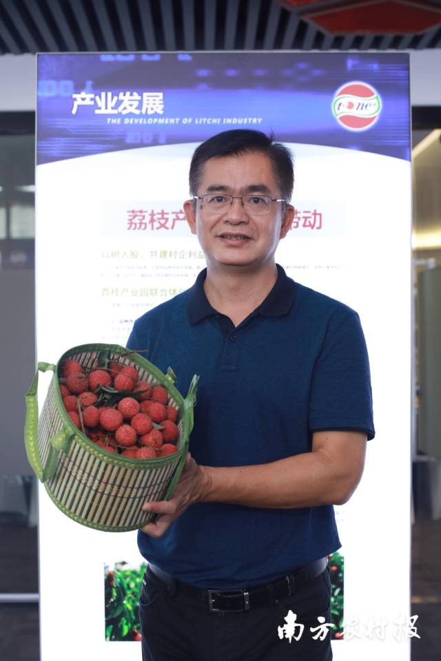 农业元宇宙大咖谈从化水果协会欧阳建忠打造荔枝元宇宙