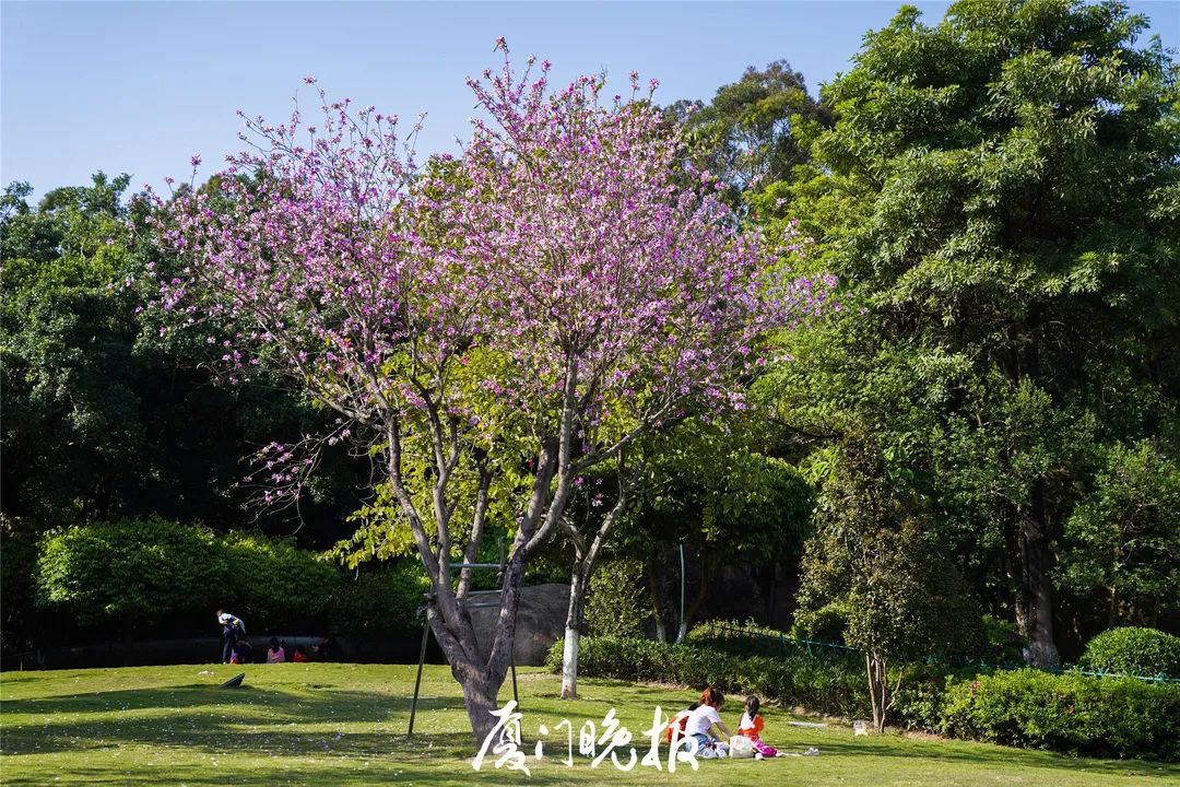 wow湖裡這座公園大變樣超2200㎡大草坪水上木棧道