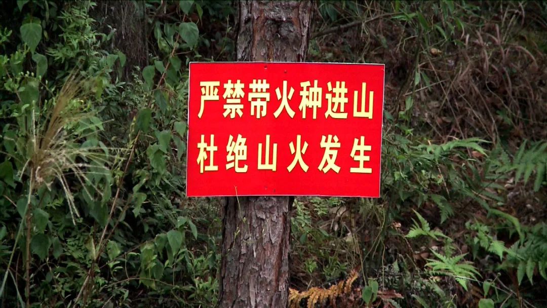 景区森林防火警示牌图片
