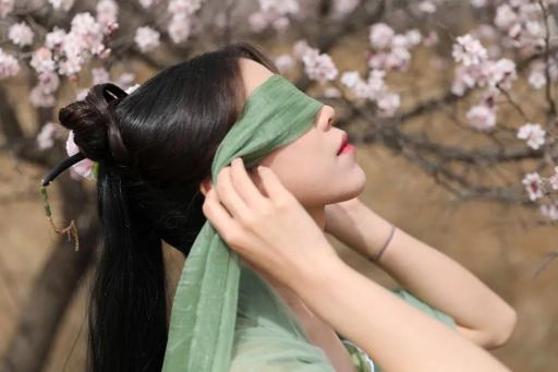 万全区第四届杏花节vr线上漫游云赏花正式开幕