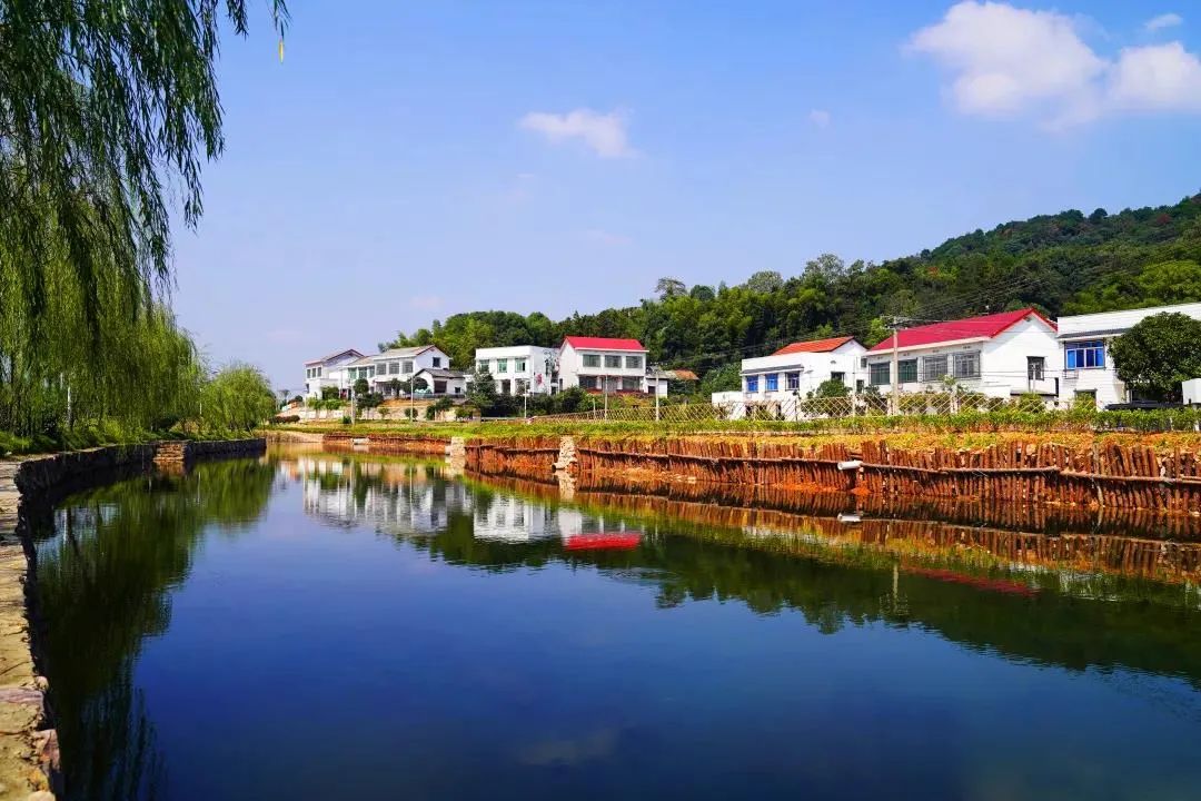 乡村振兴今年岳麓区将新建45个美丽宜居村庄