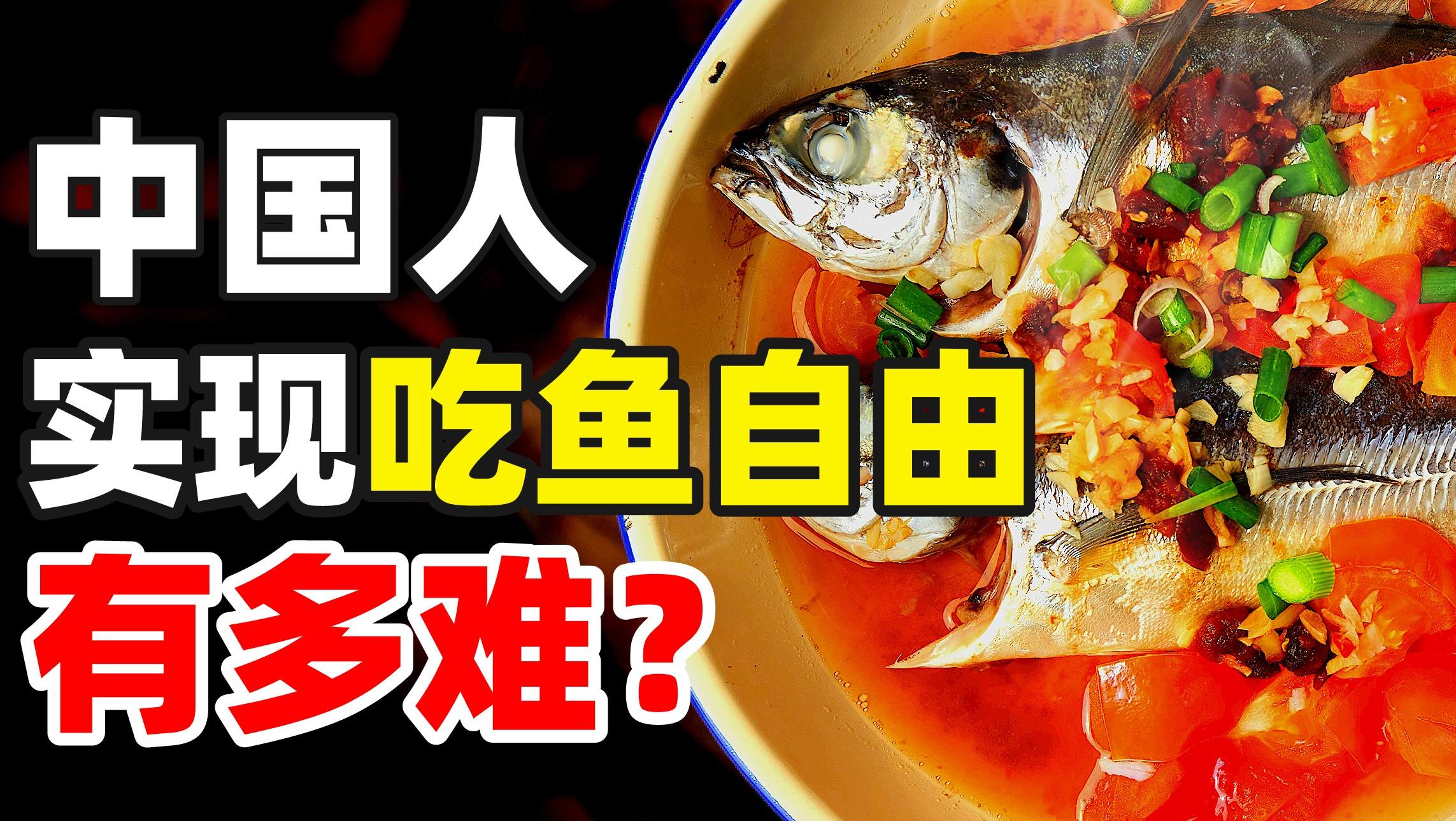 養(yǎng)魚(yú)簡(jiǎn)史：中國(guó)人把魚(yú)端上飯桌用了多少年？