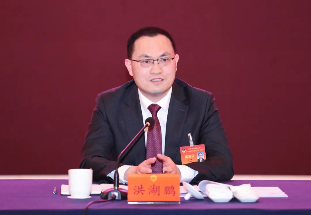洪湖鹏参加市政协联组讨论展现大作为共建新湖州
