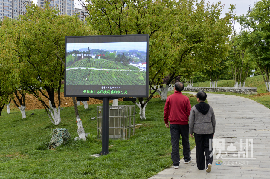 围观阅山湖公园这块电子显示屏有啥用