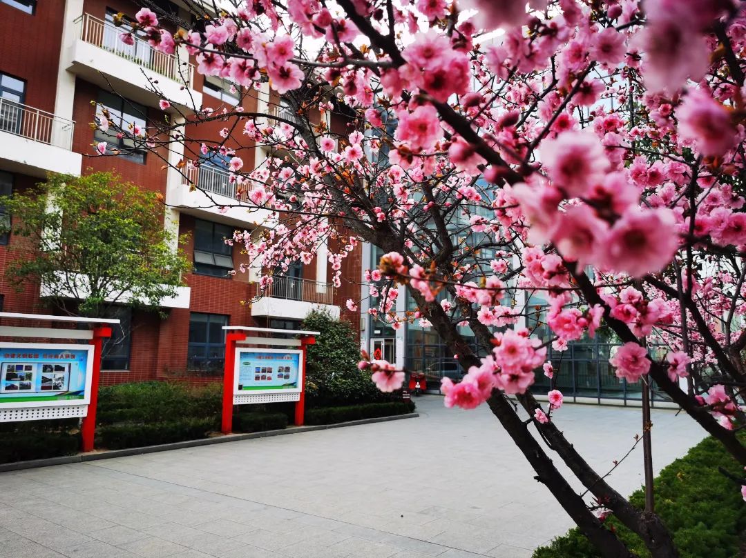 市直机关幼儿园丁肇中实验中学汉中路小学日照市第二实验小学新营小学