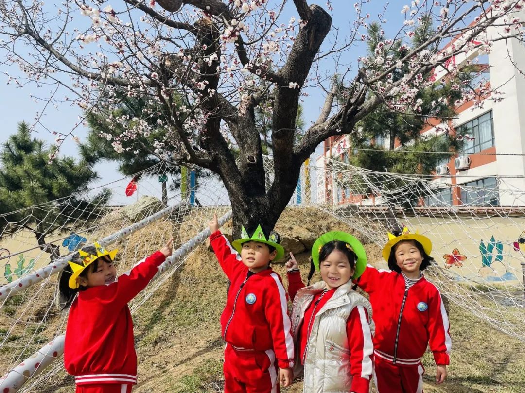 日照港中学校花图片