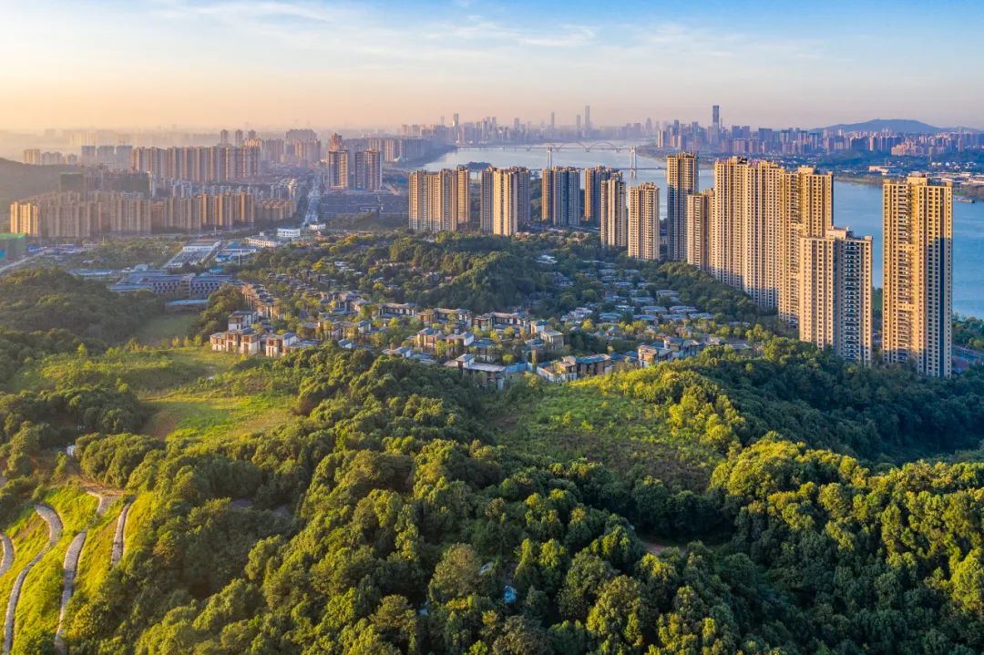 开福区创新实干之翼助飞北富强区