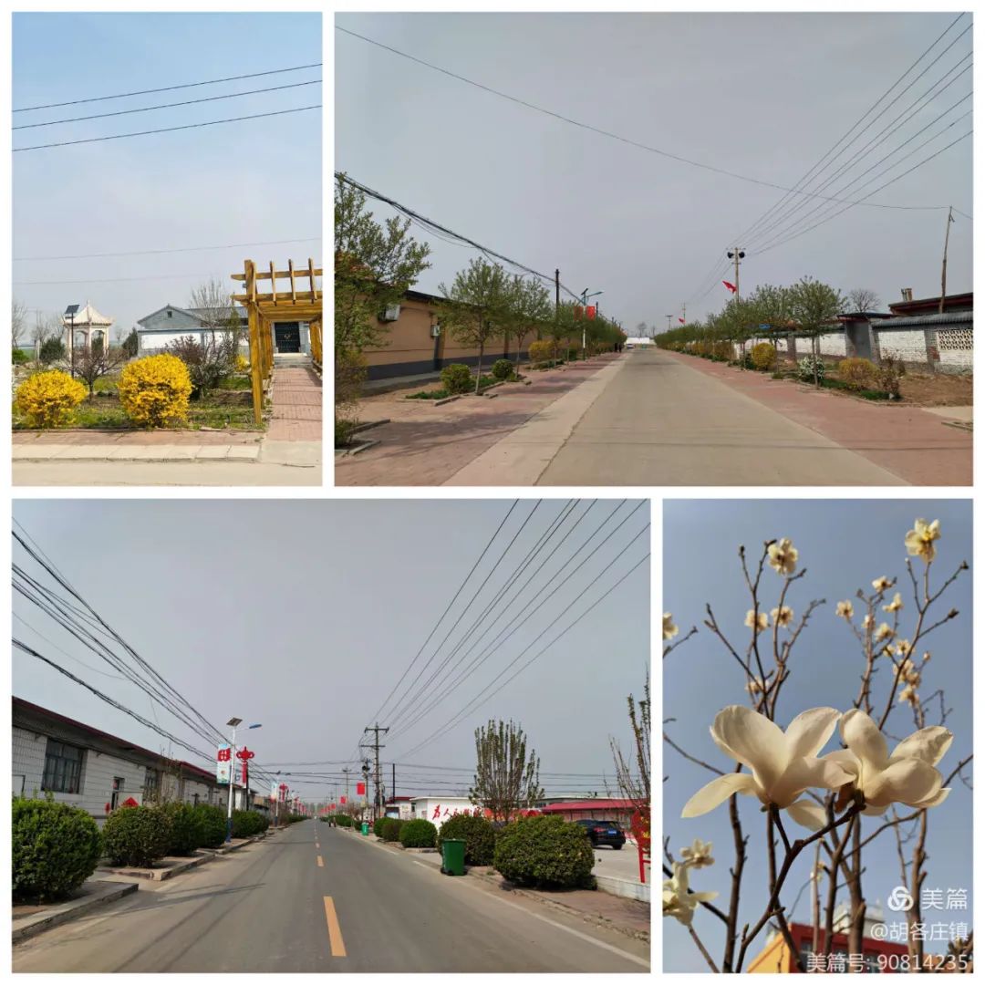 胡各庄镇再掀卫生治理新高潮