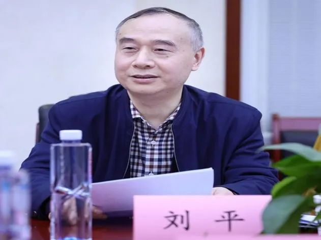 中华中医药学会副秘书长刘平,首都医科大学附属北京中医医院院长