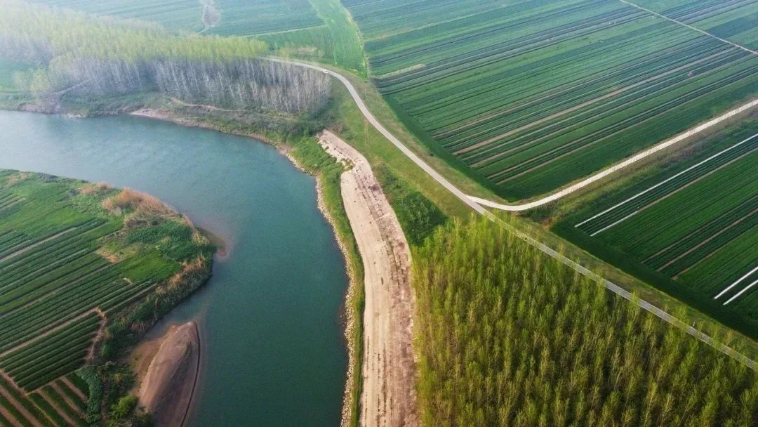 但这里常年雨量丰富,光照充足,气候温和,赋予了千里平畴以花果丰饶