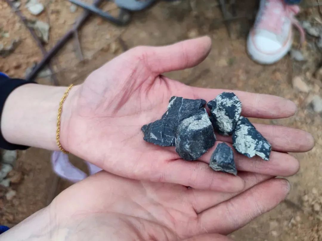 广西来宾发现金矿吸引众多淘金者官方回应